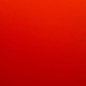 Meet your Posher, Stephen